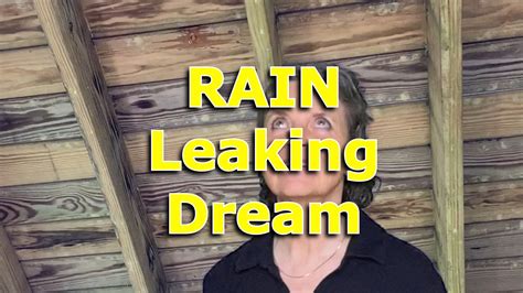 dreams about roof leaking|Dream About Roof Leaking: Decode Your Vision